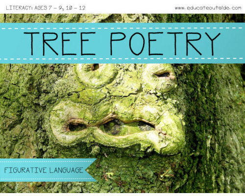 Tree Poetry