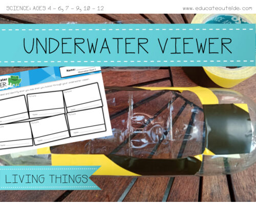 The Underwater Viewer - Pond Life